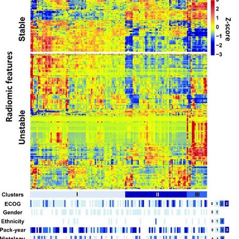 Radiomic Heat Map Unsupervised Clustering Of Patients Based On The Download Scientific Diagram