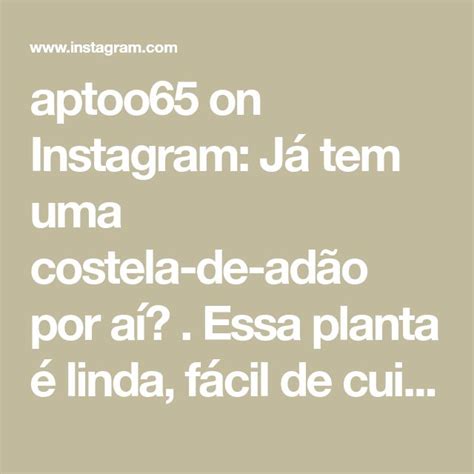 aptoo65 on Instagram Já tem uma costela de adão por aí Essa planta