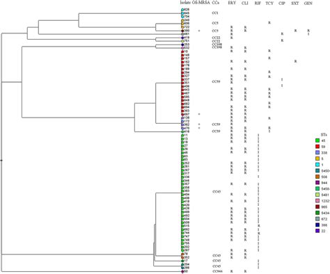 Dendrogram And Antibiogram Of 72 Methicillin Resistant Mrsa And Four