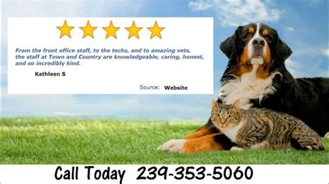 Animal Hospital Reviews Naples Fl 239 353 5060 Youtube