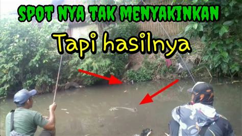 MANCING IKAN NILEM UMPAN DAUN PAKIS DAPAT JUGA NILEM BABON YouTube