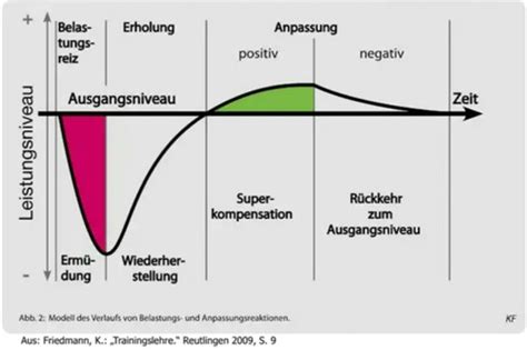 Sporttheorie Allgemeine Gesetzmäßigkeiten des Trainings Ausdauer