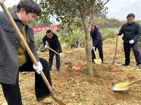 黔东南州与省同步开展2023年春节后上班第一天义务植树活动isenlincn