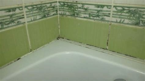 How To Remove Mold From Bathroom Tiles Naturally Daily House Cleaning