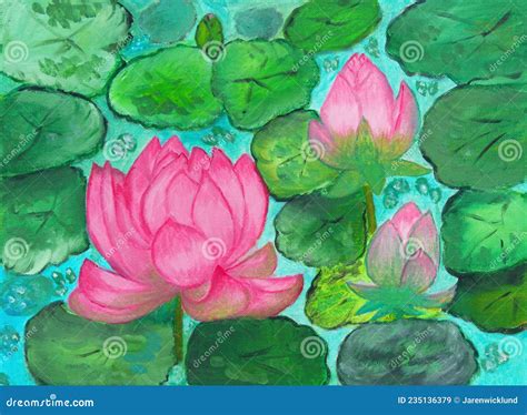 Pink Water Lillys On Water With Koi Carp Royalty Free Stock Photo