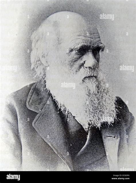 Photograph Of Charles Darwin 1809 1882 English Naturalist And