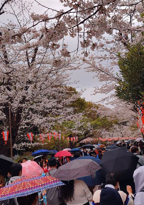Ueno Koen : r/japanpics