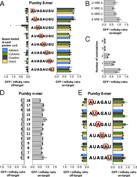 Programmable Rna Binding Protein Composed Of Repeats Of A Single