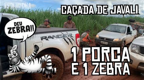 Caçada de Javali 1 porca e uma zebra Expedição Rota de Caça EP15