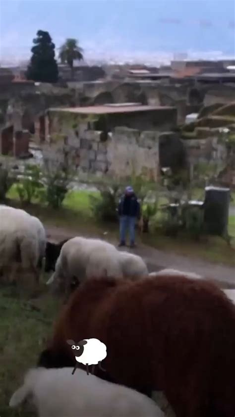 Grass And Weeds Can Pose Quite A Problem For The Ruins Of Pompeii