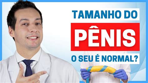 Qual O Tamanho Normal Do P Nis Descubra A Verdade E Aprenda A Medir Da