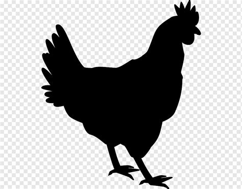 Silueta De Gallina Silueta De Pollo Png Impresionante Libre The Best