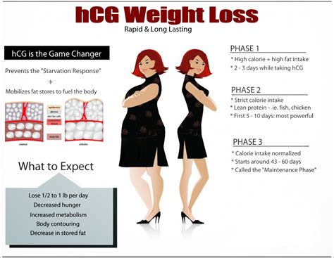 Everything You Need To Know About The Hcg Diet Defend Your Health