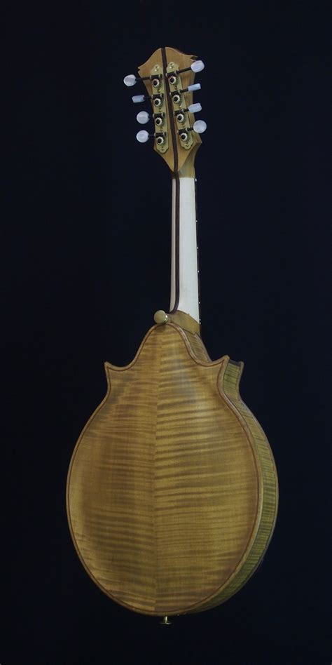 Mandolin P Thijs Van Der Harst