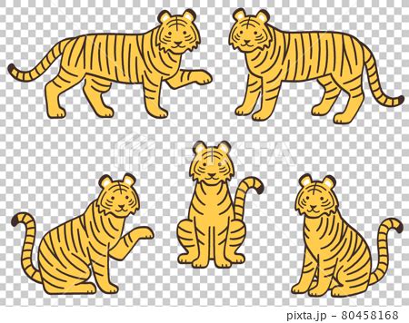 Tiger Hand Painted Illustration Set Stock Illustration Pixta