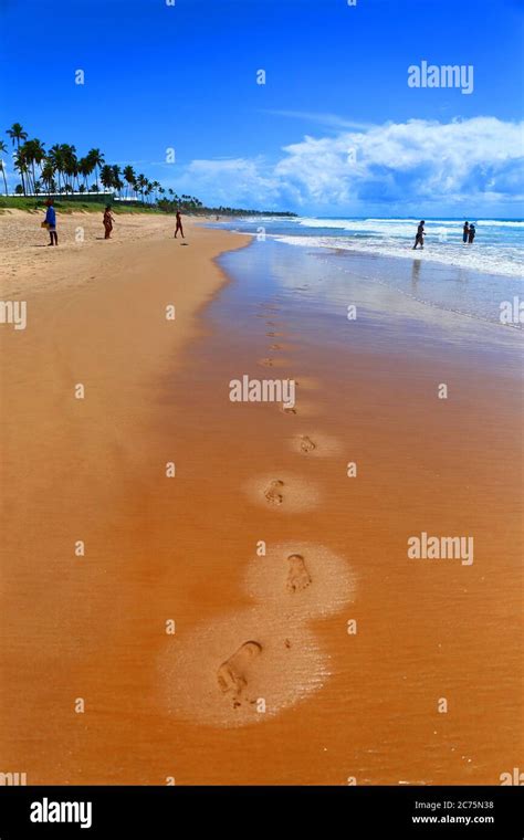 Beach In Porto De Galinhas Pernambuco Brazil Stock Photo Alamy