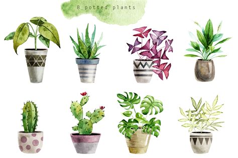 Indoor Plants Watercolor Clipart By Dervik Art Thehungryjpeg