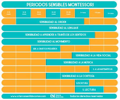 El Método Montessori Explicado Para Principiantes Csc