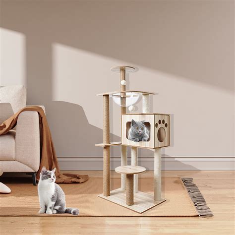 Tucker Murphy Pet Arbre Chat Po Avec Condo Pour Chat Nid