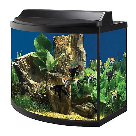 How To Choose The Best Bow Front Aquarium Hood For Your Fish Tank