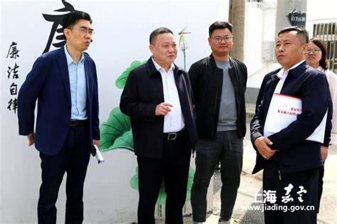 嘉定区乡村振兴办调研乡村振兴示范村和美丽乡村示范村创建工作腾讯新闻