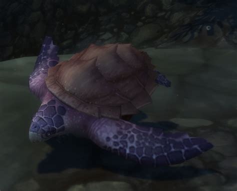 Sea Turtle Forbidden Reach Wowpedia Your Wiki Guide To The World