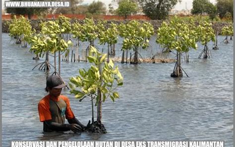 Konservasi Dan Pengelolaan Hutan Di Desa Eks Transmigrasi Kalimantan