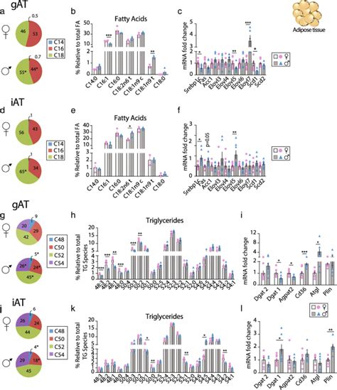 Sex Specific Lipid Molecular Signatures In Obesity Associated Metabolic