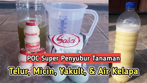 Cara Membuat Pupuk Organik Cair POC Sederhana Dari Yakult Telur