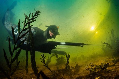 11 Spearfishing Tips For Beginners - The Adventure Junkies