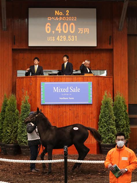 【ミックスセール】ダービー馬ドウデュース半弟は8600万円、当歳上場38頭すべて落札／詳細 競馬ライブ速報写真ニュース 日刊スポーツ