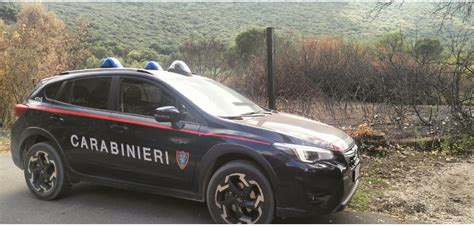 Sabaudia Parco Nazionale Del Circeo Denunciato Per Incendio Doloso E