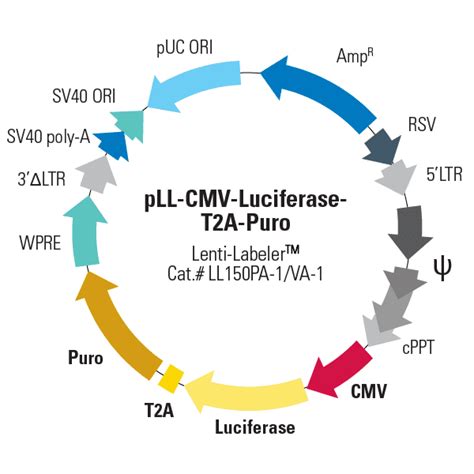 PLL CMV Luciferase T2A Puro Lenti Labeler Lentivector Plasmid Pre