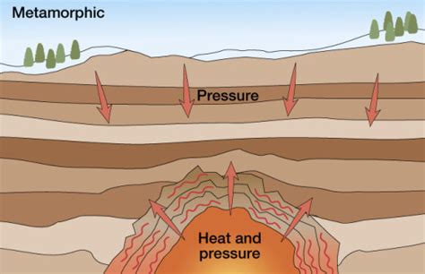 Metamorphic Rocks - all you need to know about rocks and their formations