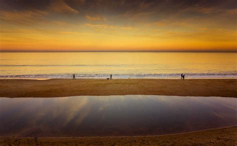 People on Beach during Sunset · Free Stock Photo