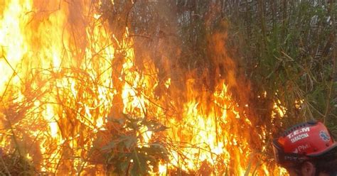 Protecci N Civil T Chira Seis Incendios De Vegetaci N Se Registraron