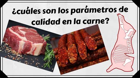 Cu Les Son Los Dos Atributos De Calidad M S Importantes De La Carne De