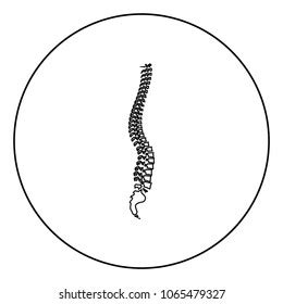 Spinal Vertebral Column Spine Backbone Icon Stock Vector Royalty Free