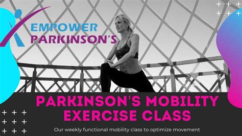 Parkinson S Pwr Moves And Mobility Exercise Class Big Amplitude Focus Fort Worth Texas