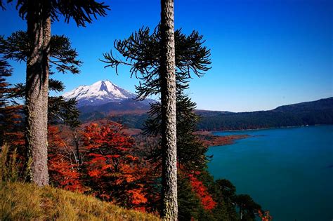 Fondos De Pantalla Árboles Paisaje Bosque Otoño Montañas Lago