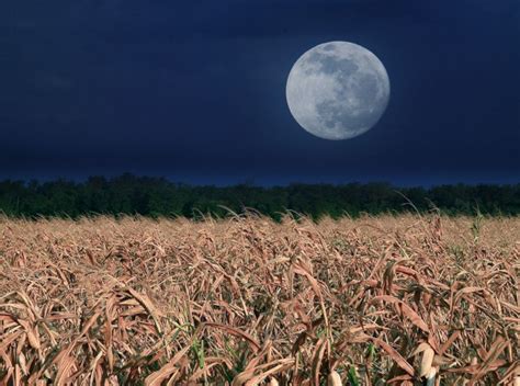 Pleine Lune 19 août 2024 une Super Lune Bleue exceptionnelle en Verseau