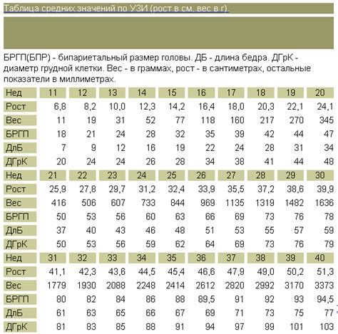Размеры плода по УЗИ