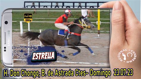 Estrella Potrillos Debutantes H Don Chongo Beron De Astrada Ctes