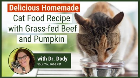 Homemade Cat Food Recipe In Just 15 Minutes Youtube