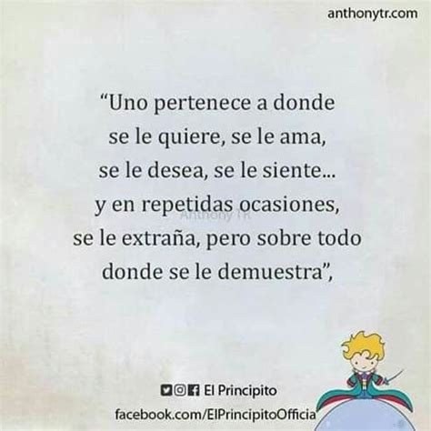 Pin De Amparo Del En El Principito Frases Bonitas Frases De Pareja