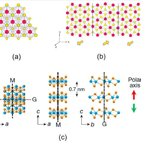 A Top View Of The Structure Of A Monolayer Of Mos 2 In C1t Download Scientific Diagram