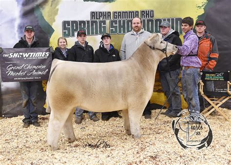 Alpha Gamma Rho Spring Showdown Ames Ia Steers Lautner Farms