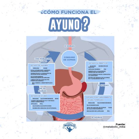 Qu Es El Ayuno Intermitente Y C Mo Funciona Fullmusculo