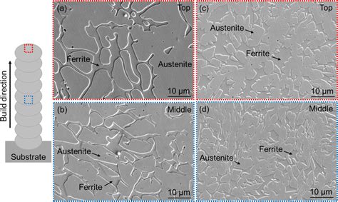 Microstructure Of Sdss 2507 Obtained Through 60 A Pta Ded A B And