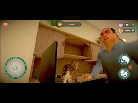 Cat Simulator Vamos De Mais Um Joguinho YouTube